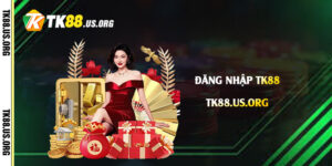 Đăng-Nhập-Tk88