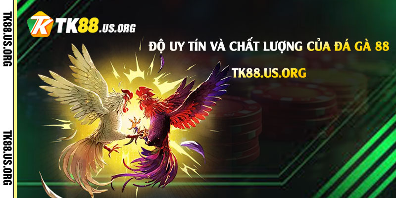 Đá Gà 88 - Trang Đá Gà Tại Tk88 Uy Tín Chất Lượng Nhất 2 Độ uy tín và chất lượng của Đá Gà 88